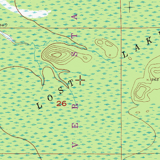 Topographic Map of Lost Lake Swamp, MN