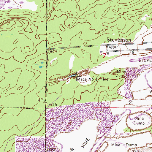 Topographic Map of Mace Number One Mine, MN