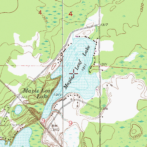 Topographic Map of Maple Leaf Lake, MN