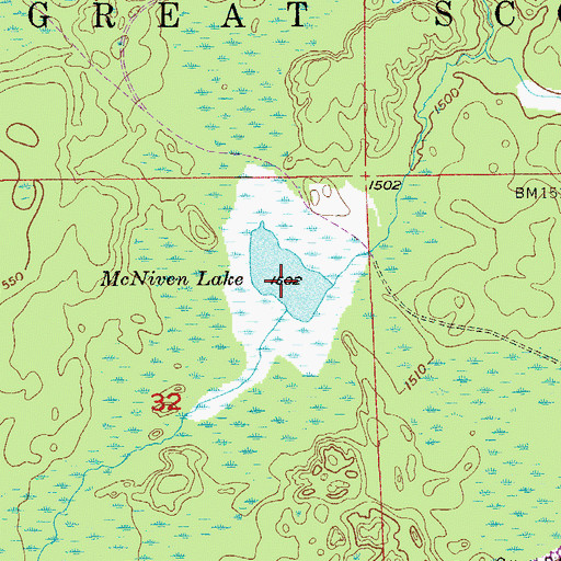 Topographic Map of McNiven Lake, MN