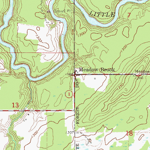 Topographic Map of Meadow Brook, MN