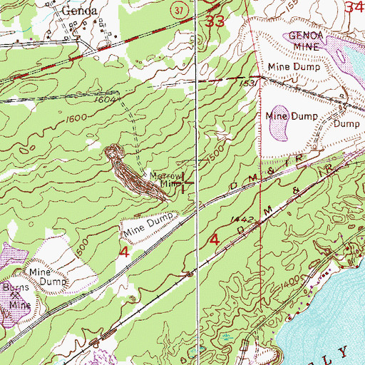 Topographic Map of Morrow Mine, MN