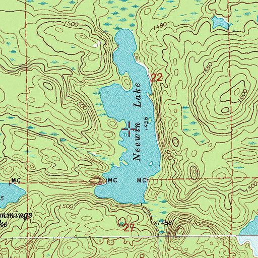 Topographic Map of Neewin Lake, MN