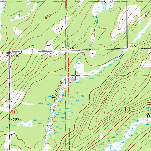 Topographic Map of Nelson Creek, MN
