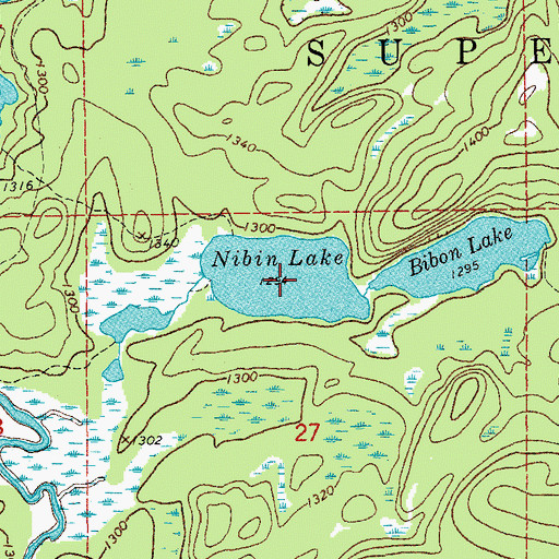Topographic Map of Nibin Lake, MN