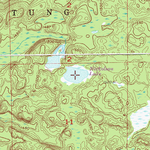 Topographic Map of Nickolson Lake, MN