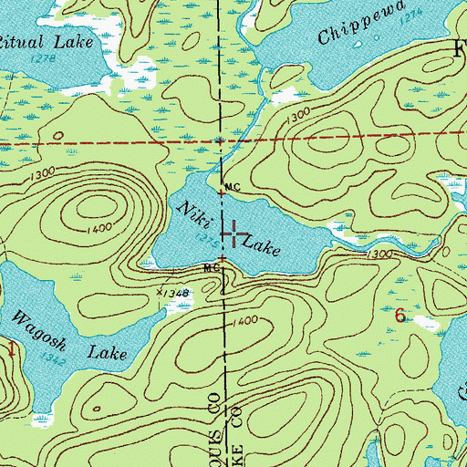Topographic Map of Niki Lake, MN