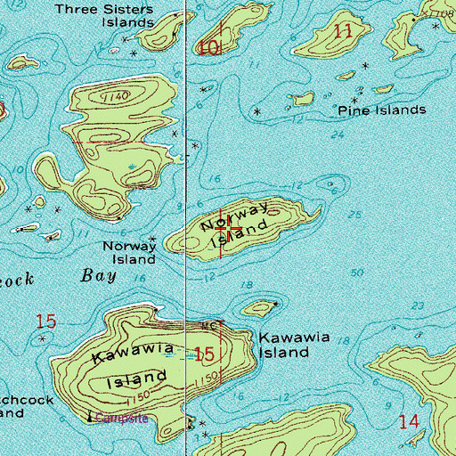 Topographic Map of Norway Island, MN