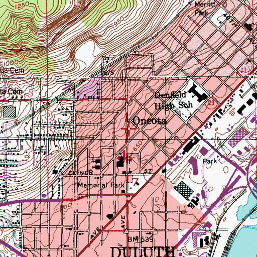 Topographic Map of Oneota, MN
