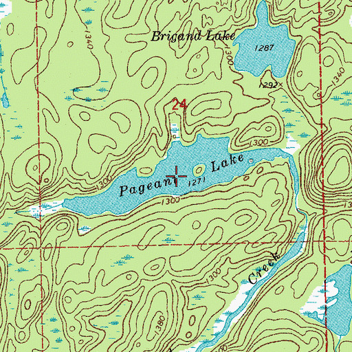 Topographic Map of Pageant Lake, MN
