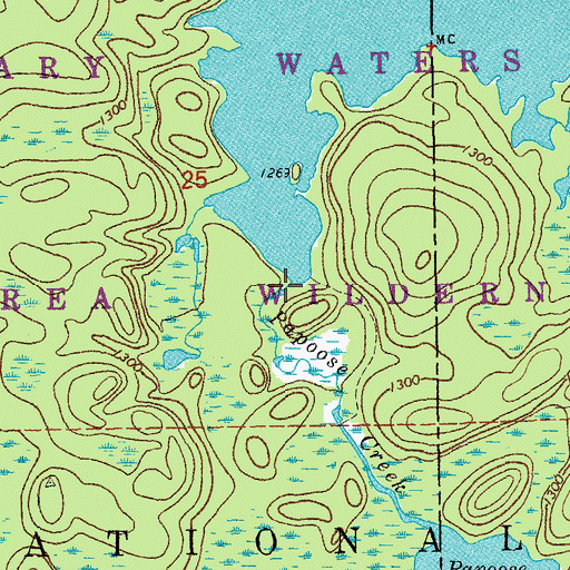 Topographic Map of Papoose Creek, MN