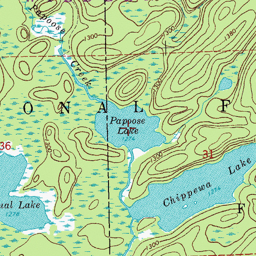 Topographic Map of Papoose Lake, MN