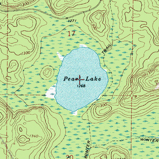 Topographic Map of Pearl Lake, MN