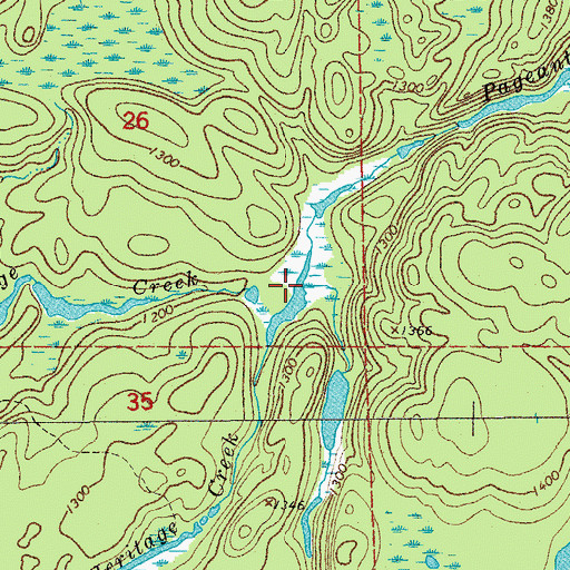 Topographic Map of Pageant Creek, MN