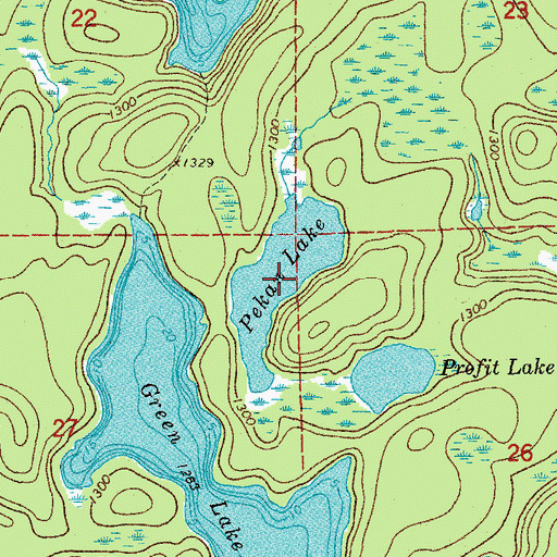 Topographic Map of Pekan Lake, MN