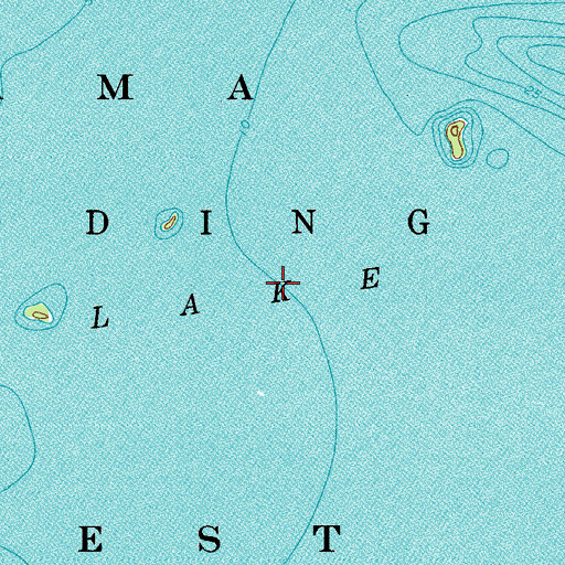 Topographic Map of Pelican Lake, MN