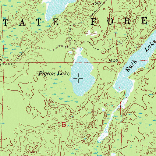 Topographic Map of Pigeon Lake, MN
