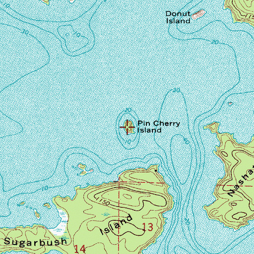 Topographic Map of Pin Cherry Island, MN
