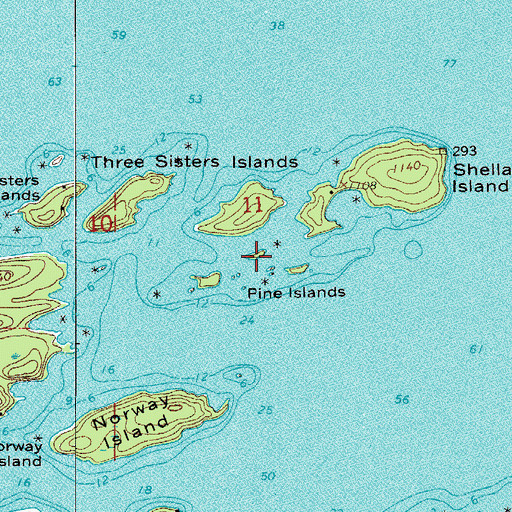 Topographic Map of Pine Islands, MN