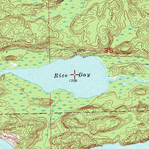 Topographic Map of Rice Bay, MN