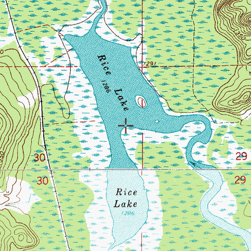 Topographic Map of Rice Lake, MN