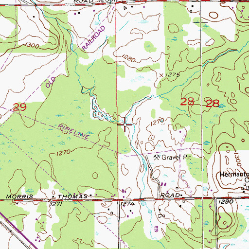 Topographic Map of Rocky Run, MN