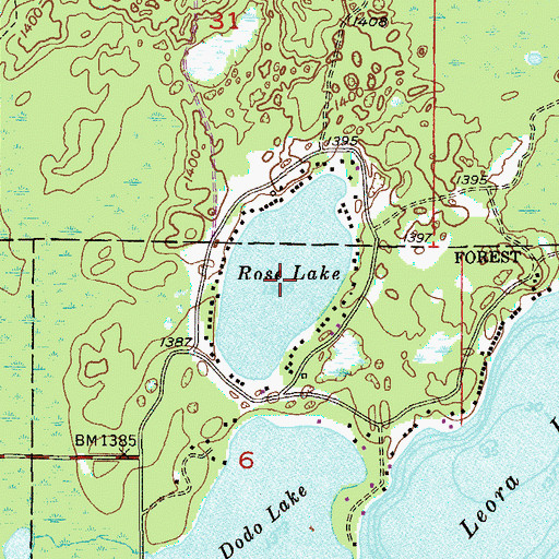 Topographic Map of Rose Lake, MN