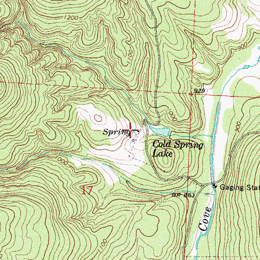 Topographic Map of Cold Spring, AR