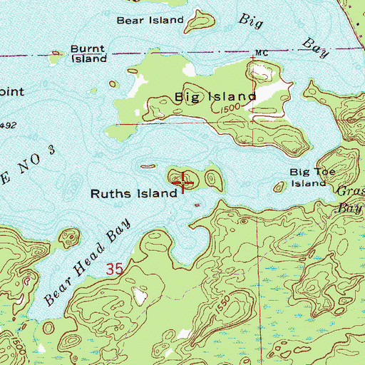 Topographic Map of Ruths Island, MN