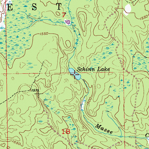 Topographic Map of Schinn Lake, MN