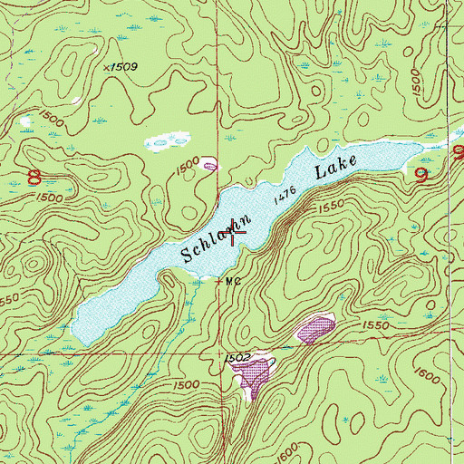 Topographic Map of Schlamn Lake, MN
