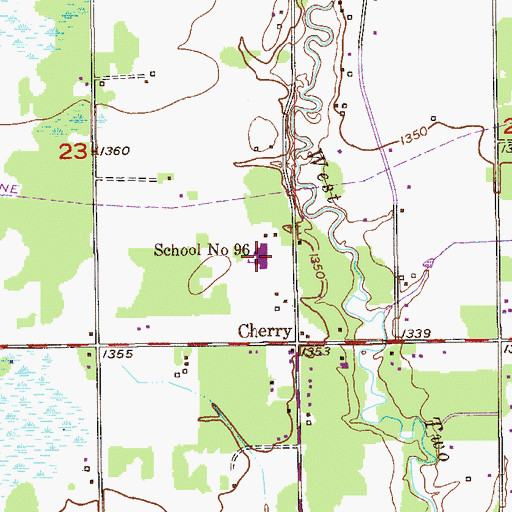 Topographic Map of School Number 96, MN