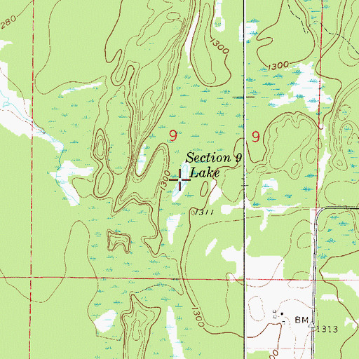 Topographic Map of Section Nine Lake, MN
