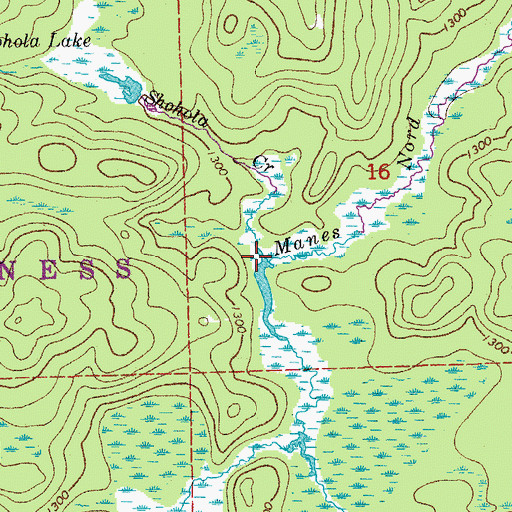Topographic Map of Shohola Creek, MN