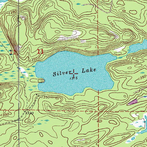 Topographic Map of Silver Lake, MN