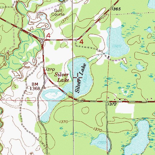 Topographic Map of Silver Lake, MN