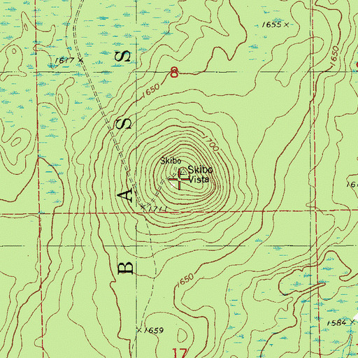 Topographic Map of Skibo Lookout Tower, MN