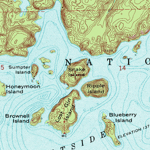 Topographic Map of Snake Island, MN