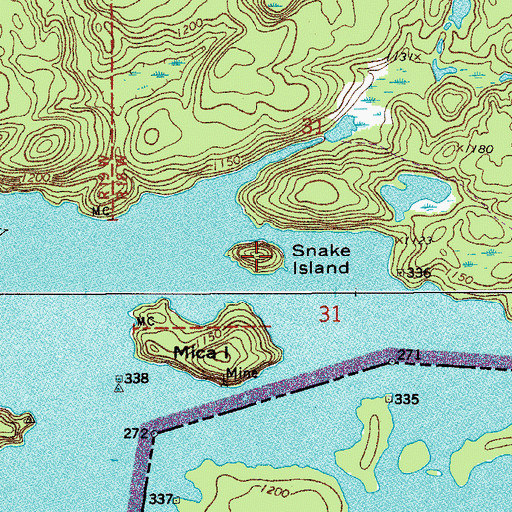 Topographic Map of Snake Island, MN