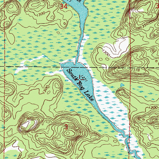 Topographic Map of South Bog Lake, MN