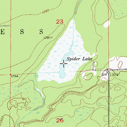 Topographic Map of Spider Lake, MN