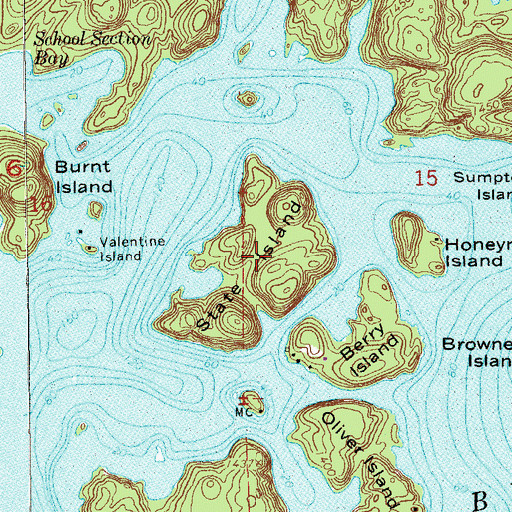 Topographic Map of State Island, MN