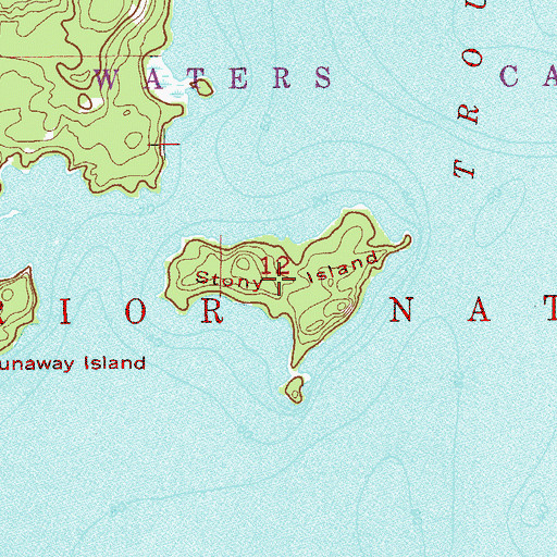 Topographic Map of Stony Island, MN