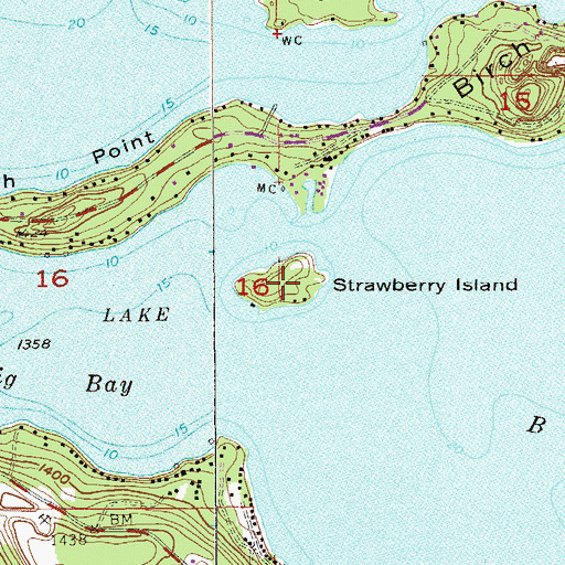 Topographic Map of Strawberry Island, MN