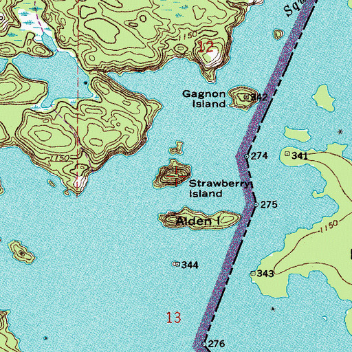 Topographic Map of Strawberry Island, MN