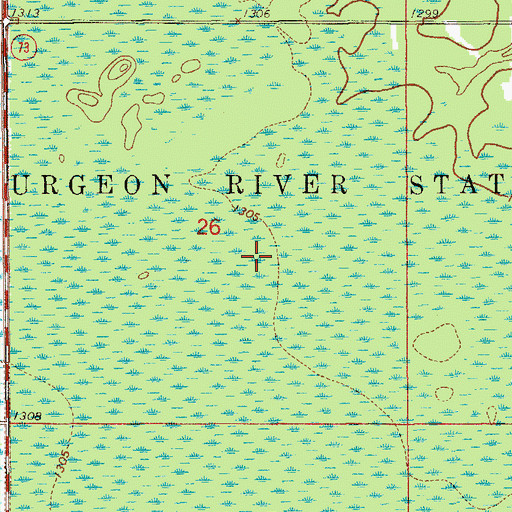 Topographic Map of Sturgeon River State Forest, MN