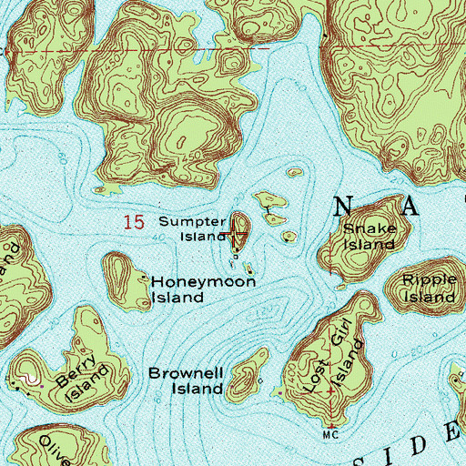 Topographic Map of Sumpter Island, MN