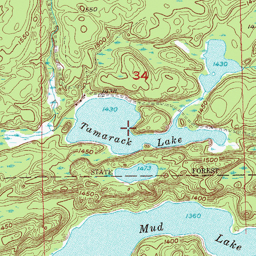 Topographic Map of Tamarack Lake, MN
