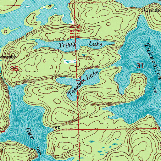 Topographic Map of Tesaker Lake, MN
