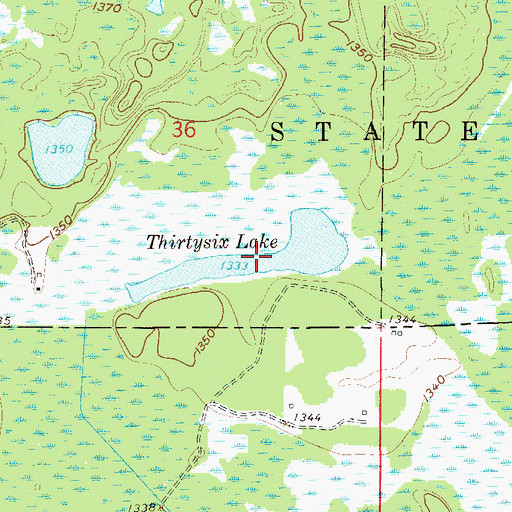 Topographic Map of Thirtysix Lake, MN